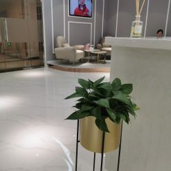 -MIVI半永久纹眉纹绣