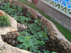 iphone_upload_pic-爱新觉罗皇家博物院