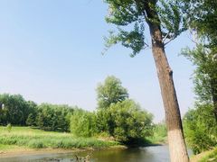 -蒲河岛湿地公园
