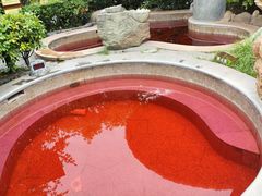 -太白山御龙湾温泉