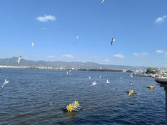 -海埂大坝