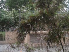 -北京港澳中心瑞士酒店·瑞士咖啡厅·自助餐