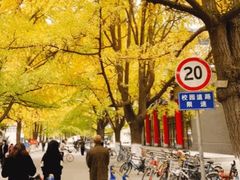 -四川大学(望江校区)