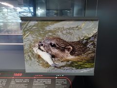 -深圳市当代艺术与城市规划馆