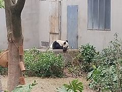 -柳州市动物园