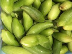 益恒饭店-白家寨子·山野白族菜(古城总店)