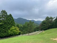 -神户市立六甲山牧场