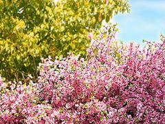 -白沙门生态公园