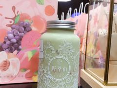 -野萃山·潮汕厚果汁(十亩地店)