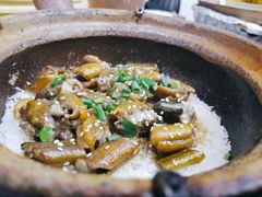 -红星光发煲仔饭(大石街店)