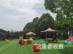 -秀丽东方
