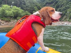 -安吉龙王山峡谷漂流