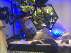 -绿茶餐厅(成都大悦城店)