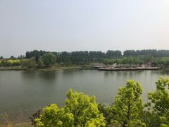 -东郊湿地公园