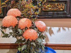 -山水茶艺馆·点心粤菜·30年老字号