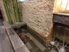 -海逸海鲜酒家(古北店)