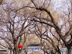 -北京国子监胡同