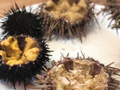 -海胆小馆(东北水饺·春柳店)