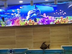 -百味饺子城•海鲜家常菜(秦皇岛店)