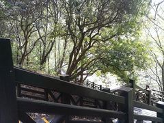 -白马涧龙池景区