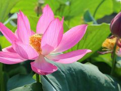 -陕西省红河谷森林公园