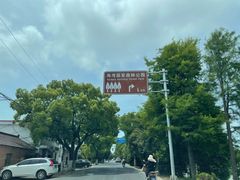 -上海海湾国家森林公园