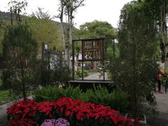-瑞穗牧场