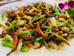 -轩记海鲜餐厅·四十五年老字号·经典粤菜(西区彩虹店)