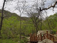 -大岭沟猕猴桃谷风景区