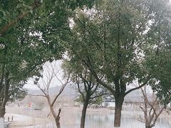-金乌温泉公园