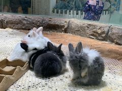 -海合安青岛极地海洋公园