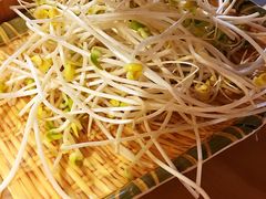 井水豆芽-守柴炉烤鸭(科华中路王府井店)