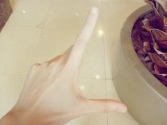 -嘉瑞酒店有限公司