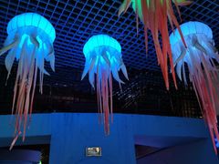 -太平洋海底世界