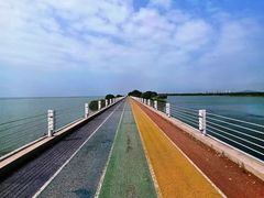 -贡湖湾湿地公园