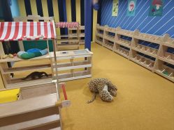 -Eureka优瑞卡儿童主题乐园(合生汇购物中心店)