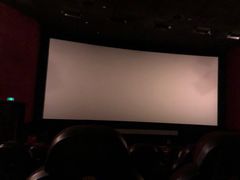 -AMG海上明珠影城(上海环球港RealDCinema店)