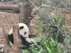 -王氏现捞(宽窄巷子2.0直营店)