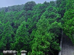 -四门塔风景区