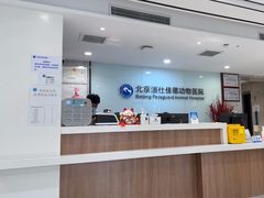 -北京派仕佳德动物医院·超导核磁·CT·神经科·骨科·内外科·急重症管理中心