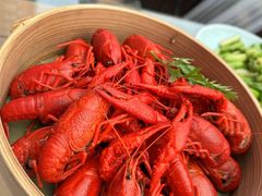 -丹江渔村(望京店)