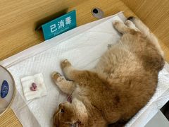 -美迦爱-牙专科·兔科·骨科诊疗中心(北苑店)