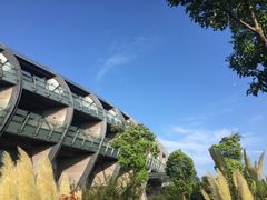 -上海滴水湖皇冠假日酒店