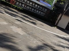 -亚龙湾热带天堂森林公园