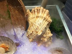 -深圳温德姆至尊酒店·大堂吧·户外花园