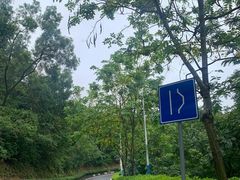 -火炉山森林公园