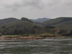-西双版纳傣族园