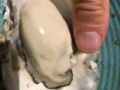 -海食焗(新光天地店)