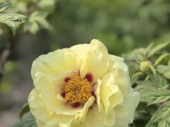 -太阳宫公园