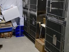 -宝山区动物疫病预防控制中心(永乐汇生活广场店)
